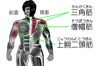 肩 痛い 筋 トレ